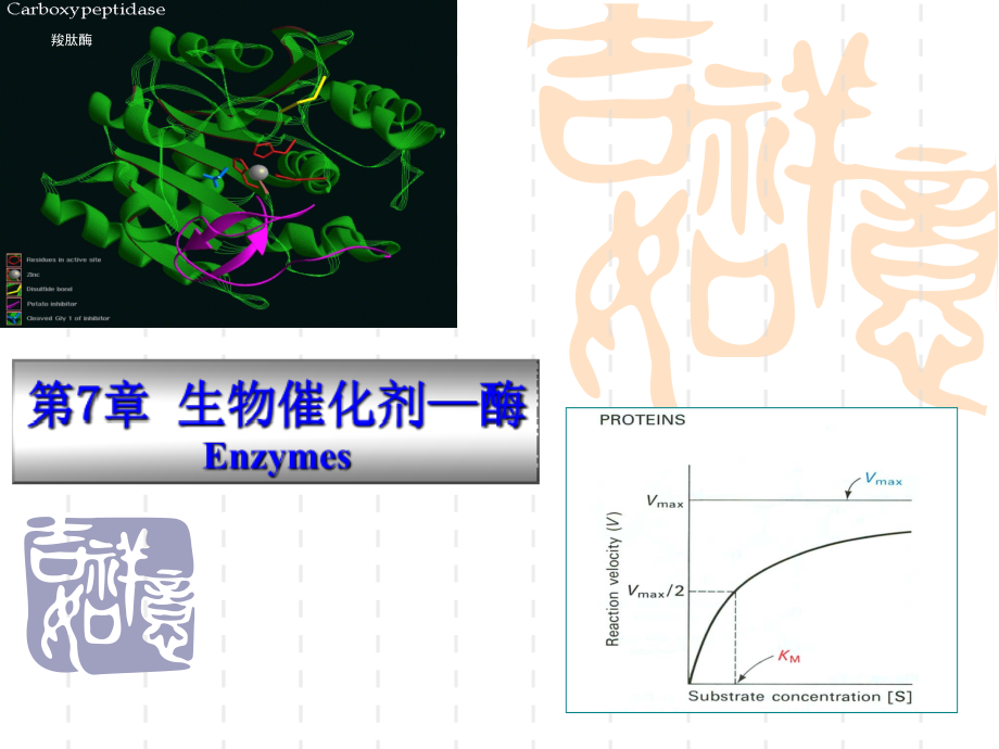 生物催化剂－酶PowerPointPresen_第1页