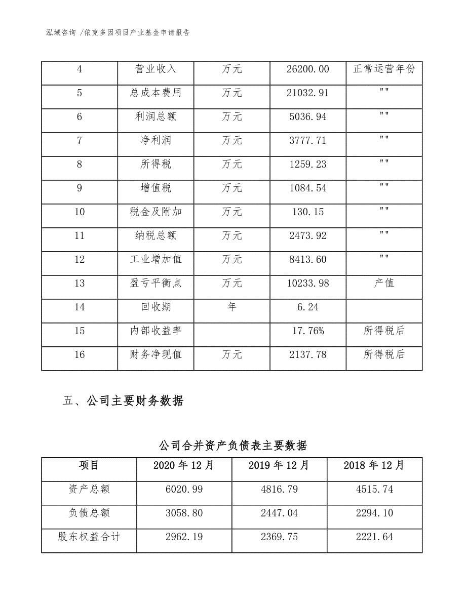 依克多因项目产业基金申请报告（参考模板）_第5页