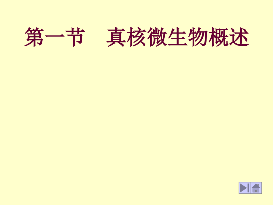 3第二章真核微生物的形态、构造z说课材料_第2页