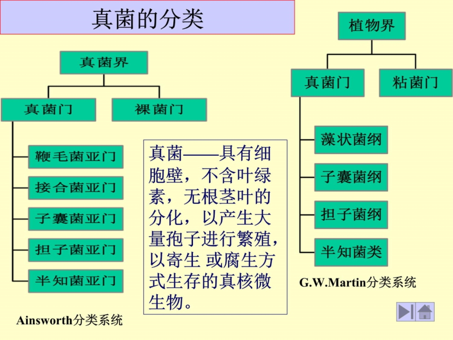 3第二章真核微生物的形态、构造z说课材料_第4页