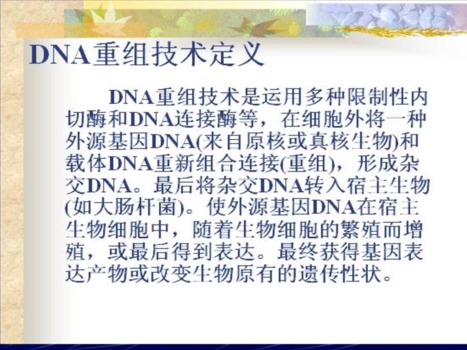 分子生物学第九章DNA重组技术教学讲义_第4页