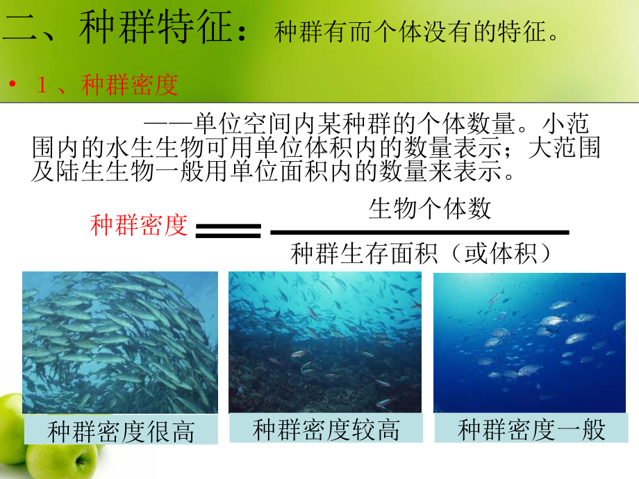 621种群与生物群落四课时yangv教学案例_第5页