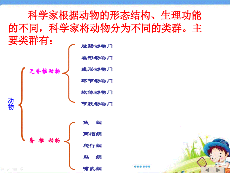 《腔肠动物和扁形动物》定稿讲义资料_第2页