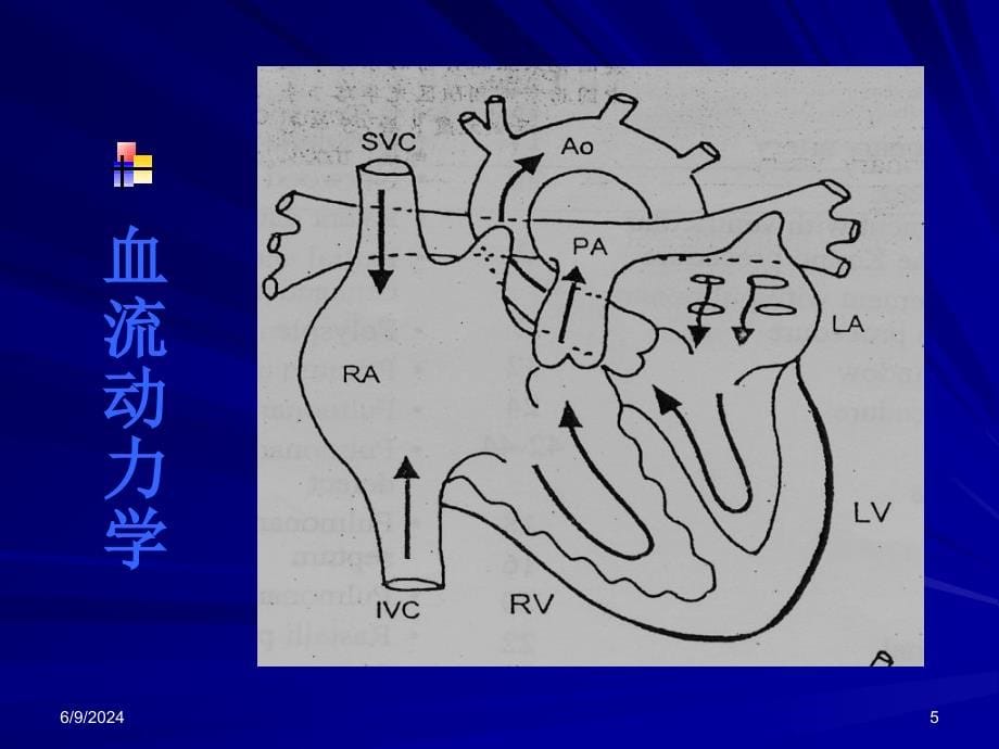 心脏基础知识备课讲稿_第5页