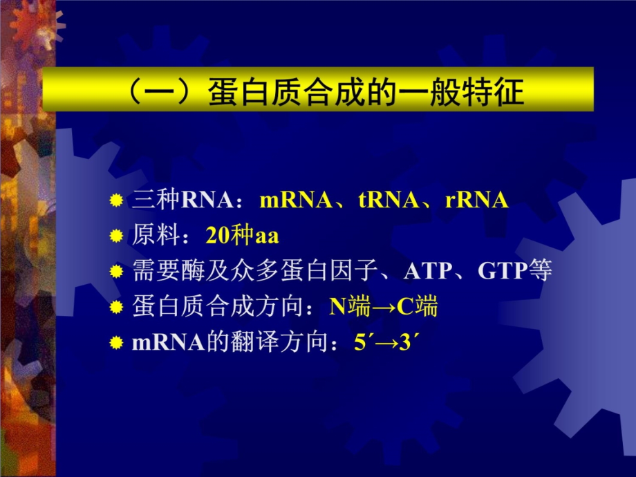 分子生物学-3翻译2教学讲义_第4页