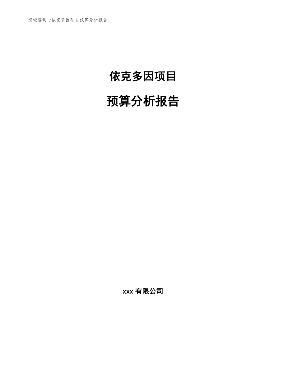 依克多因项目预算分析报告（范文模板）_第1页