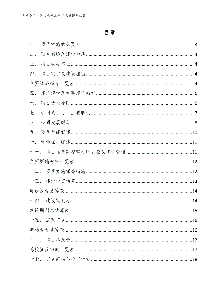 加气混凝土砌块项目预算报告（模板范文）_第1页