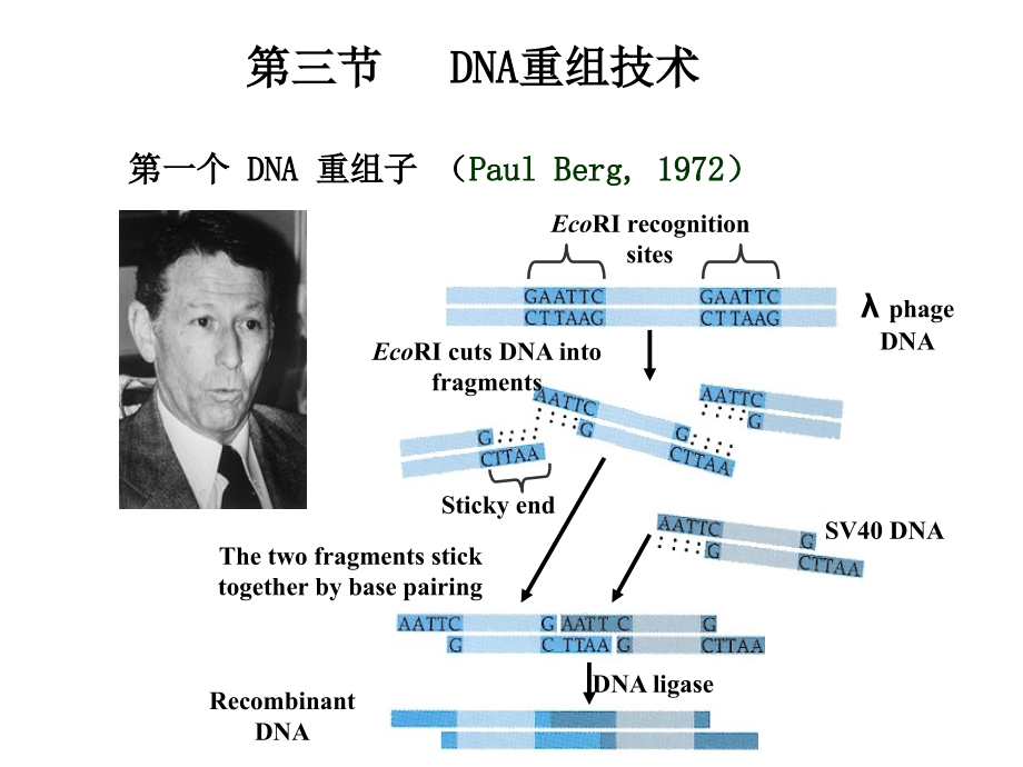 第八章分子生物学研究方法2p教学文稿_第1页