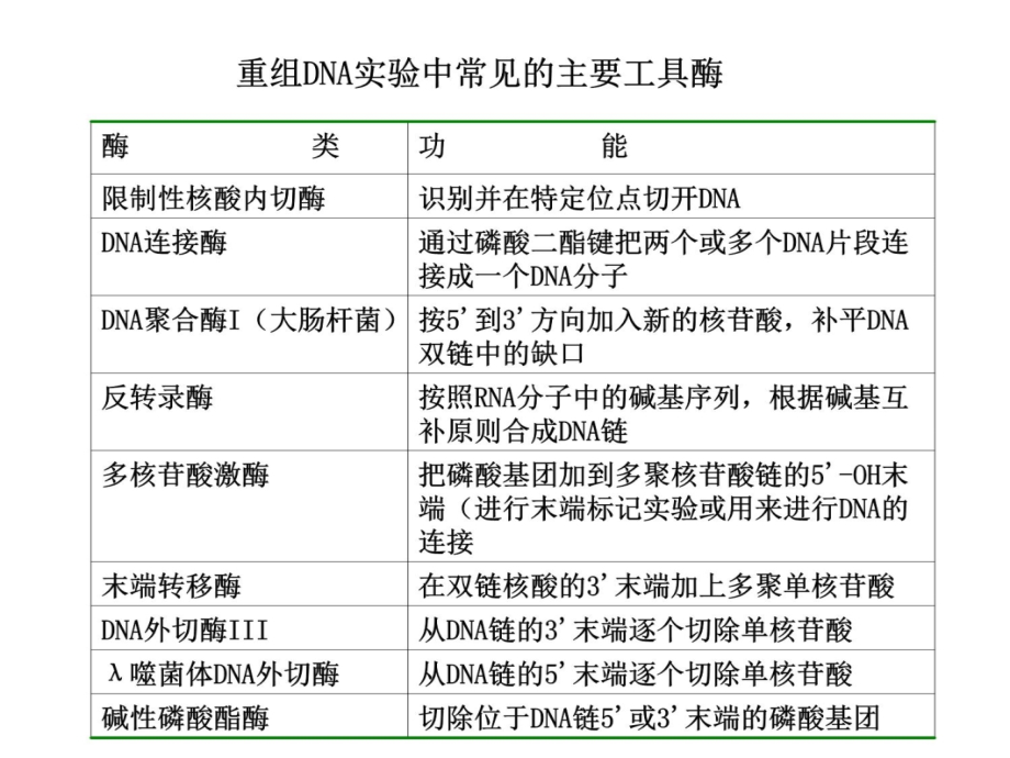 第八章分子生物学研究方法2p教学文稿_第4页