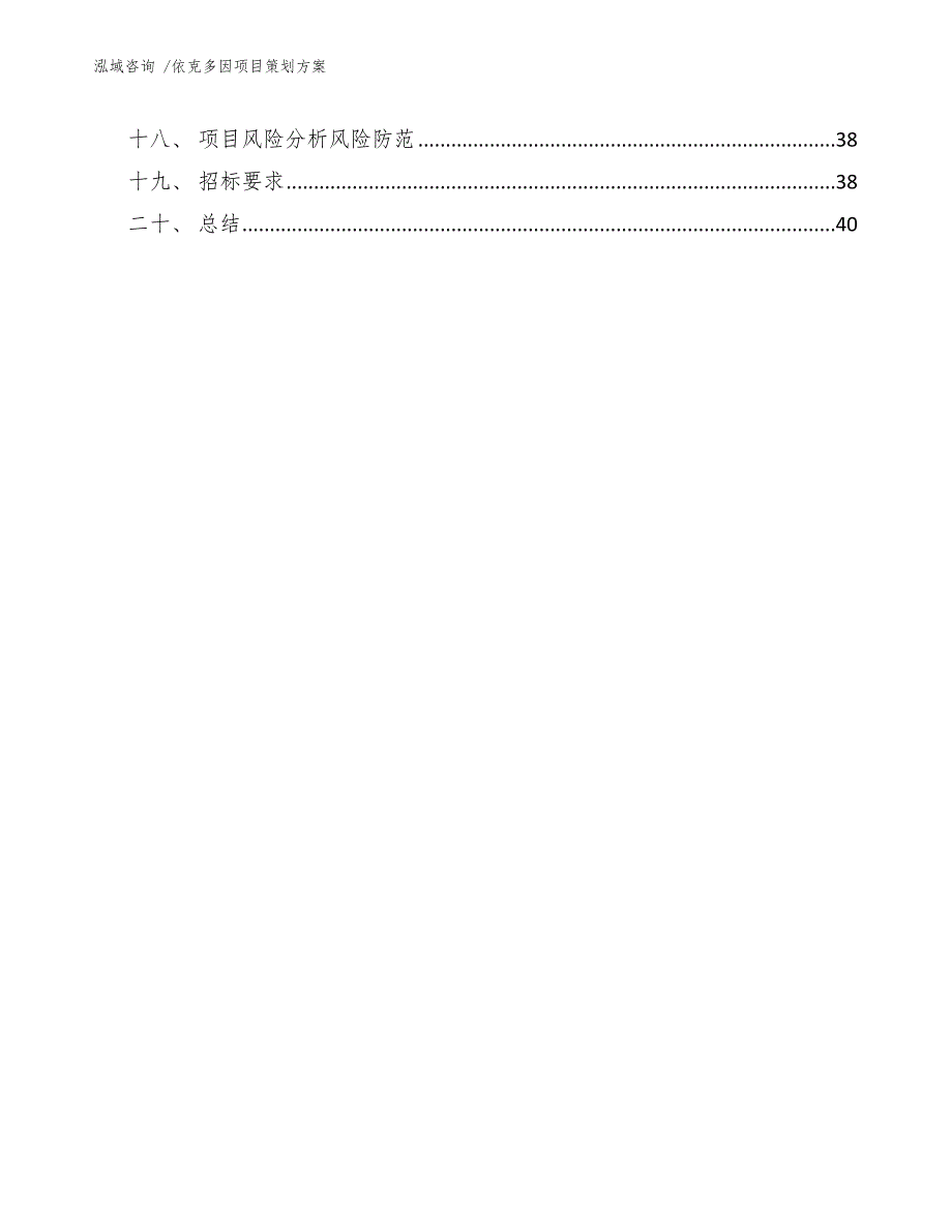 依克多因项目策划方案（范文参考）_第3页