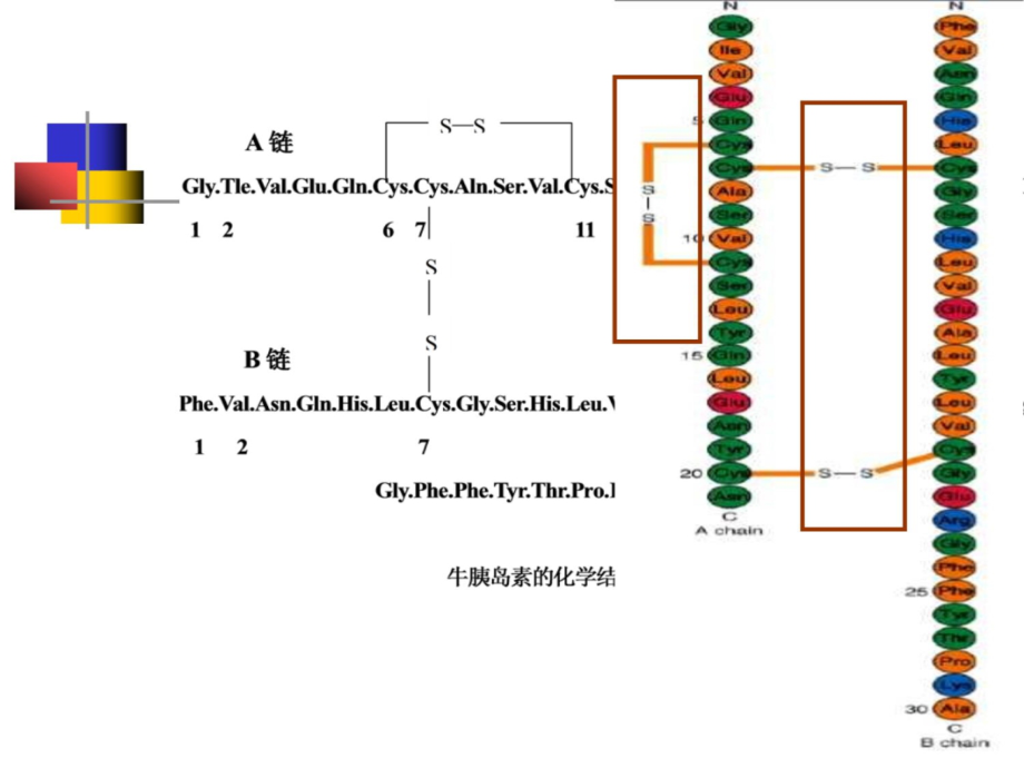 第二章2蛋白质化学知识课件知识讲稿_第4页