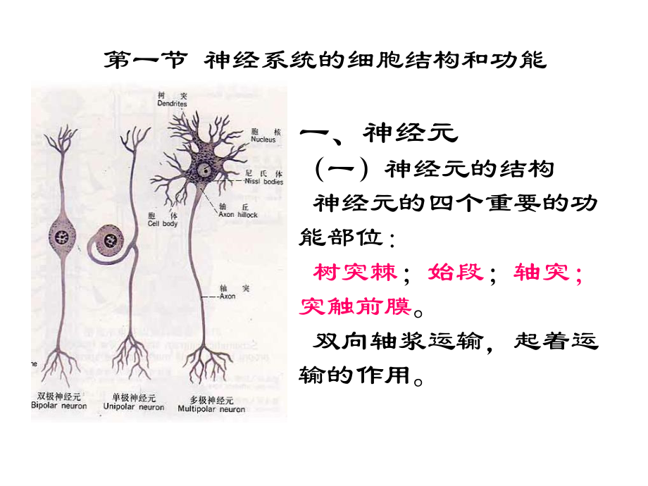 06-第六章神经系统教学案例_第5页