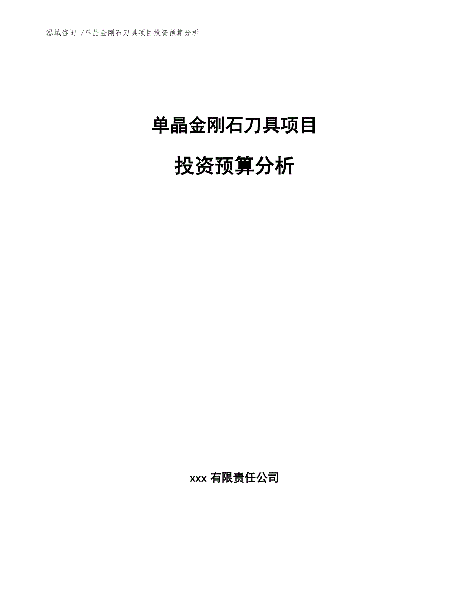 单晶金刚石刀具项目投资预算分析（参考范文）_第1页