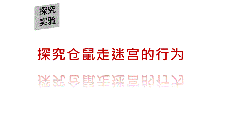 《先天性行为和学习行为》公开课一等奖课件_第2页