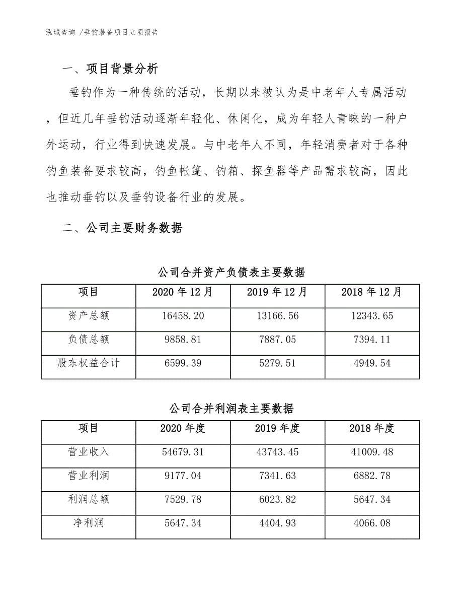 垂钓装备项目立项报告（模板参考）_第5页