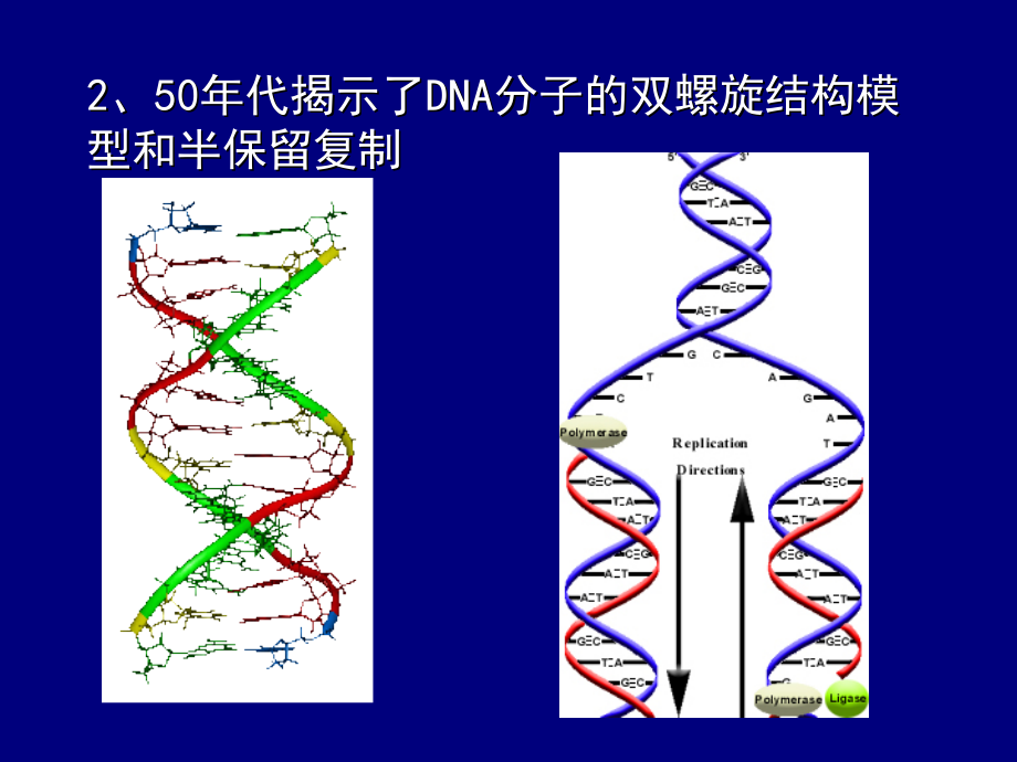 基因重组技术概述知识课件知识讲稿_第5页