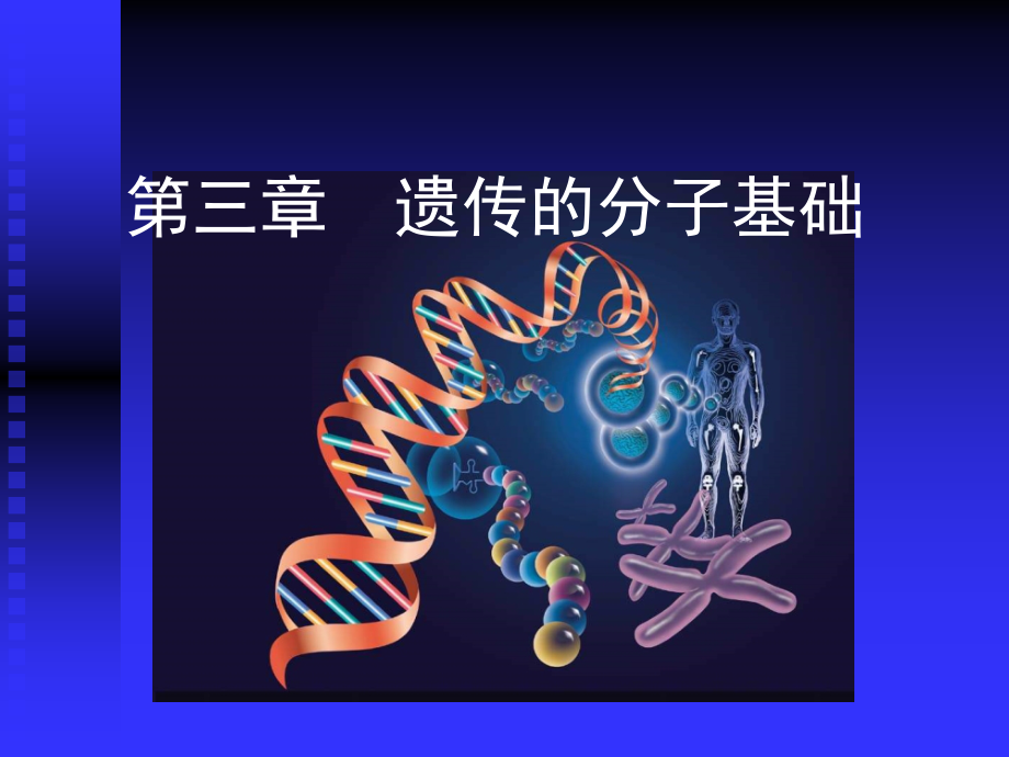 03遗传分子基础z教学提纲_第1页