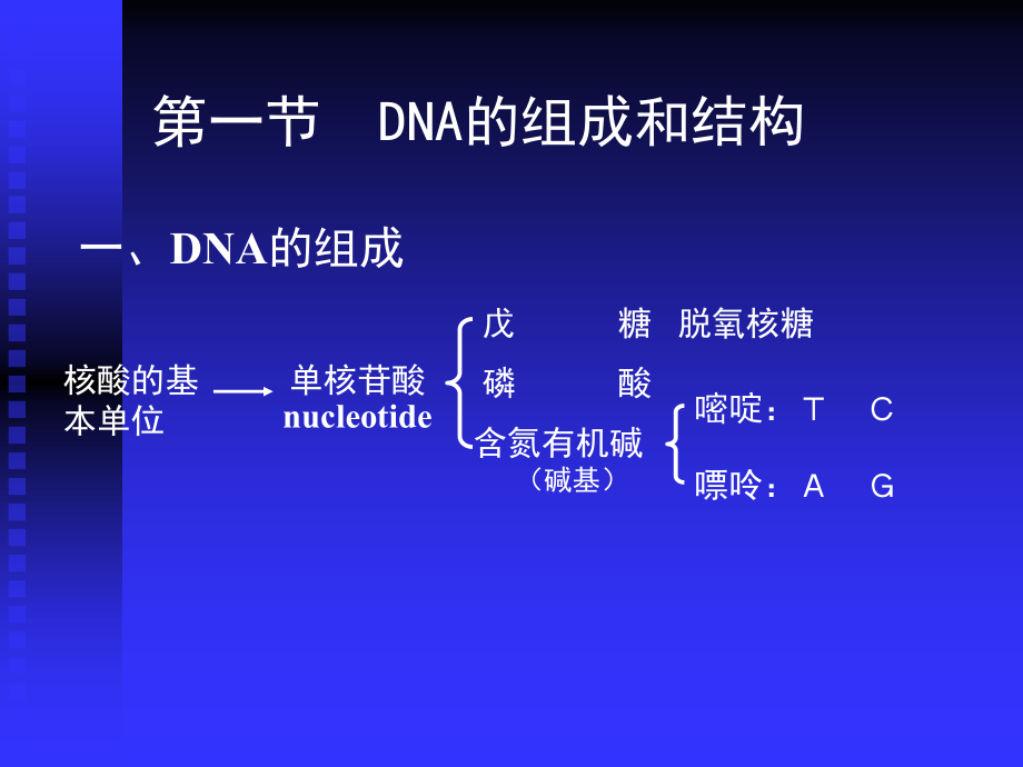 03遗传分子基础z教学提纲_第2页