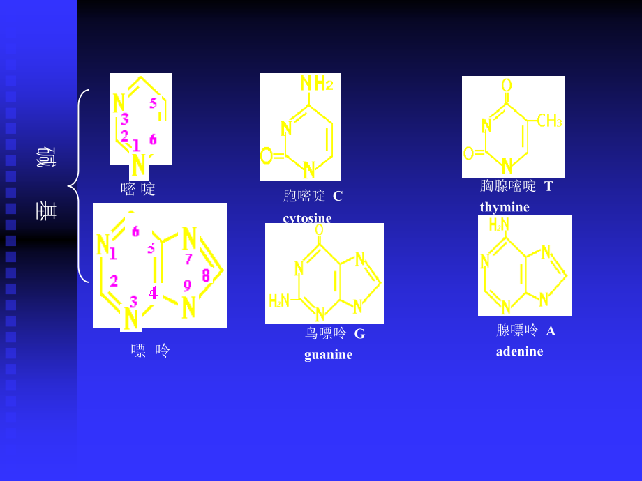 03遗传分子基础z教学提纲_第3页