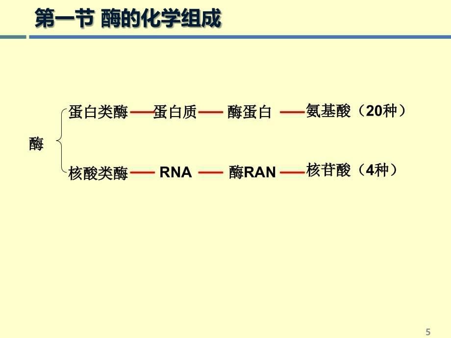 酶工程第五章酶改性的基本理论——酶的结构及其与催化特性的关系2013-2教学案例_第5页