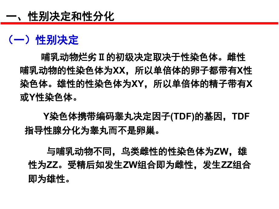 1-13第十三章生殖讲义资料_第3页