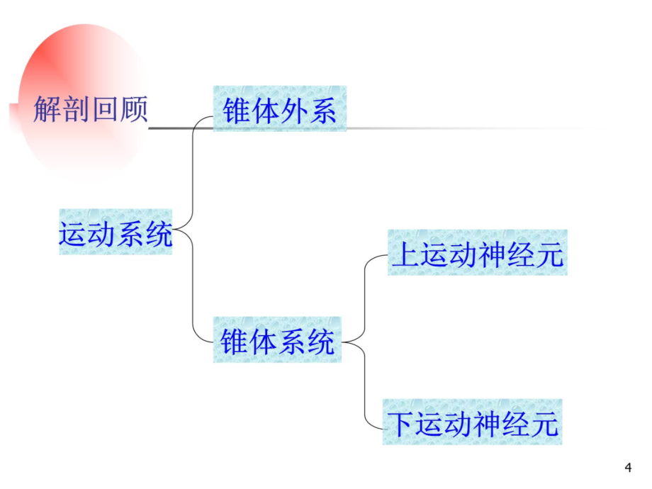 颅神经—赵建华本科教学培训教材_第4页