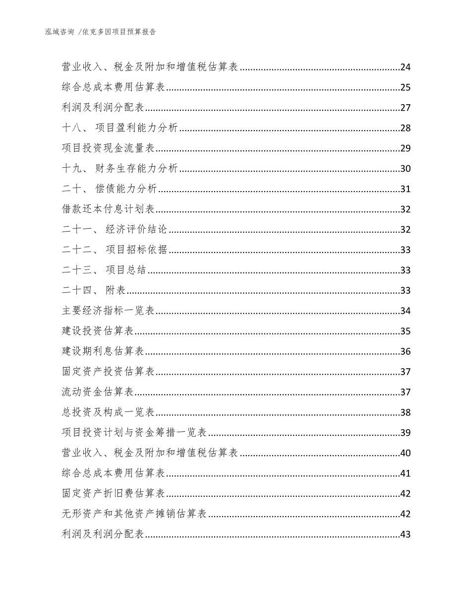 依克多因项目预算报告（范文模板）_第2页