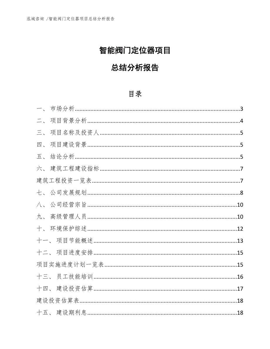 智能阀门定位器项目总结分析报告（模板范文）_第1页