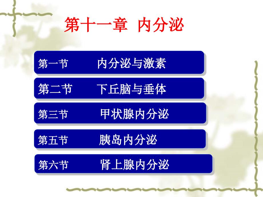 11第十一章内分泌p教学材料_第1页