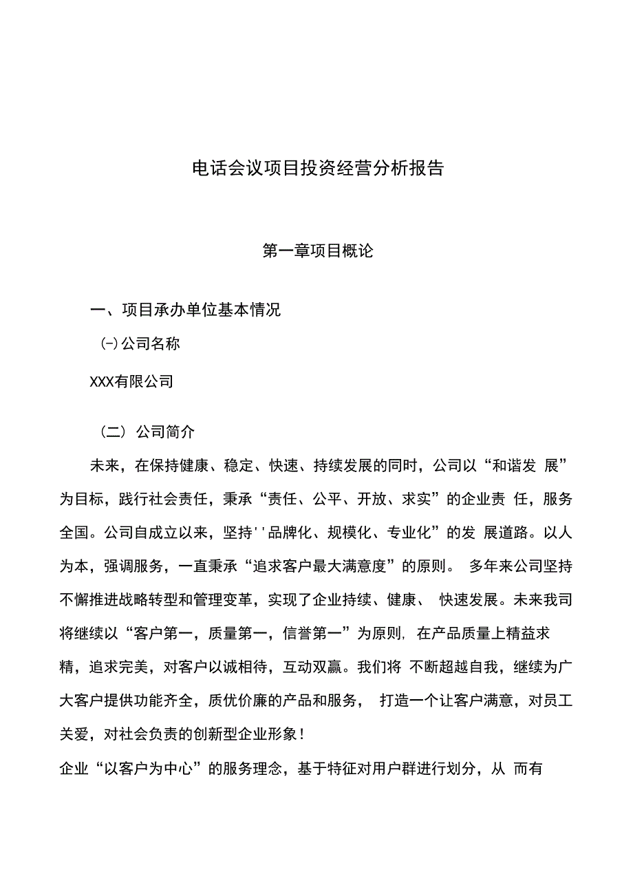 电话会议项目投资经营分析报告模板_第1页