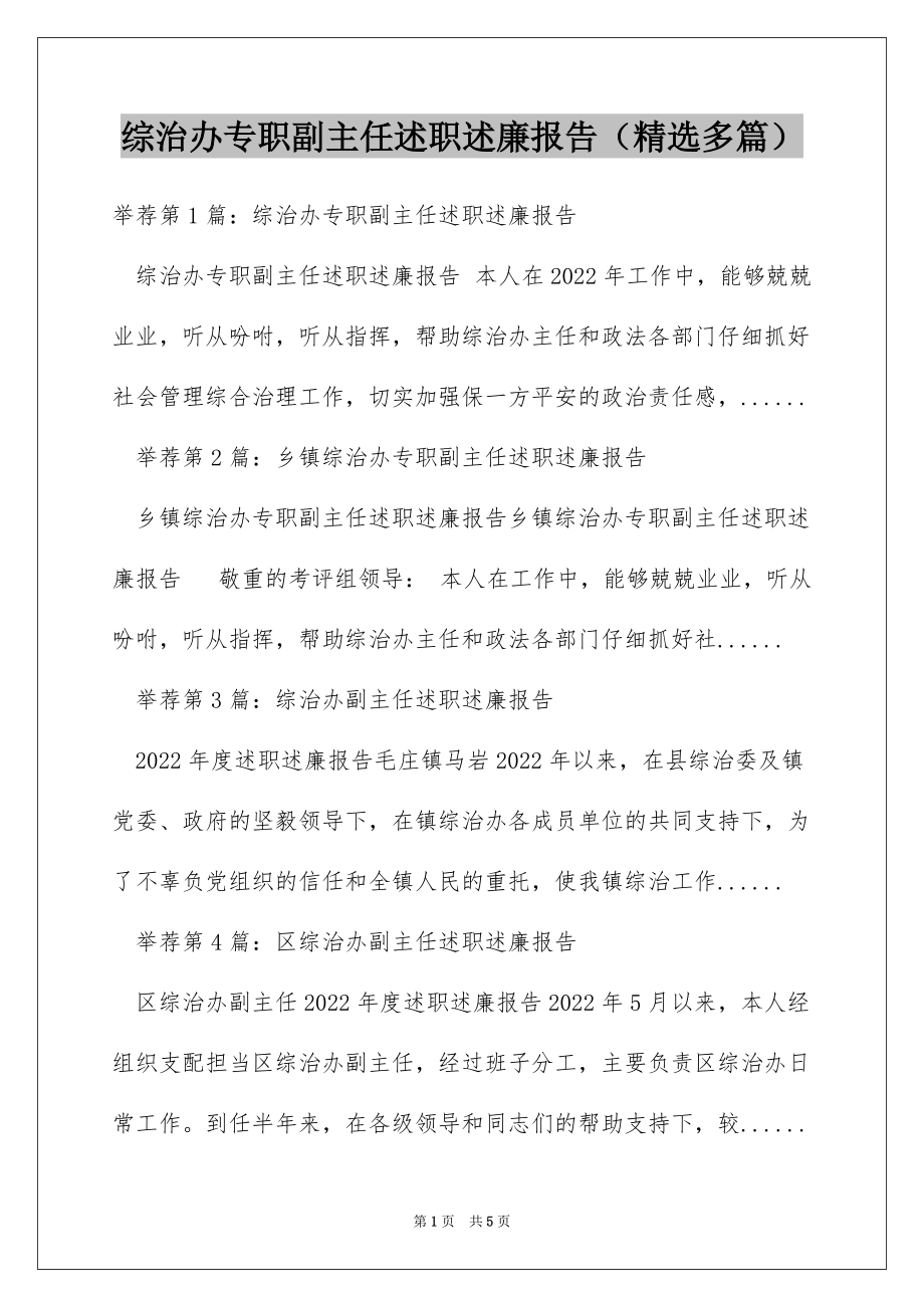 综治办专职副主任述职述廉报告（精选多篇）_第1页