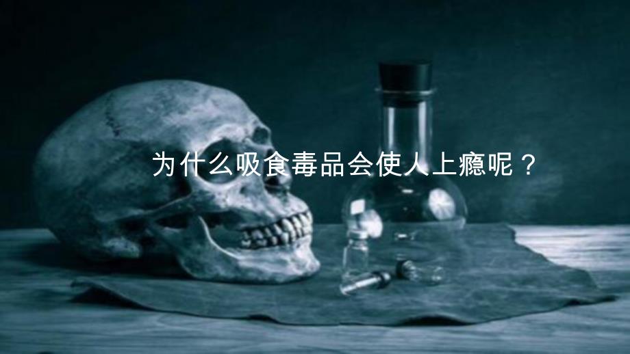 《病毒》优质课教学课件_第4页