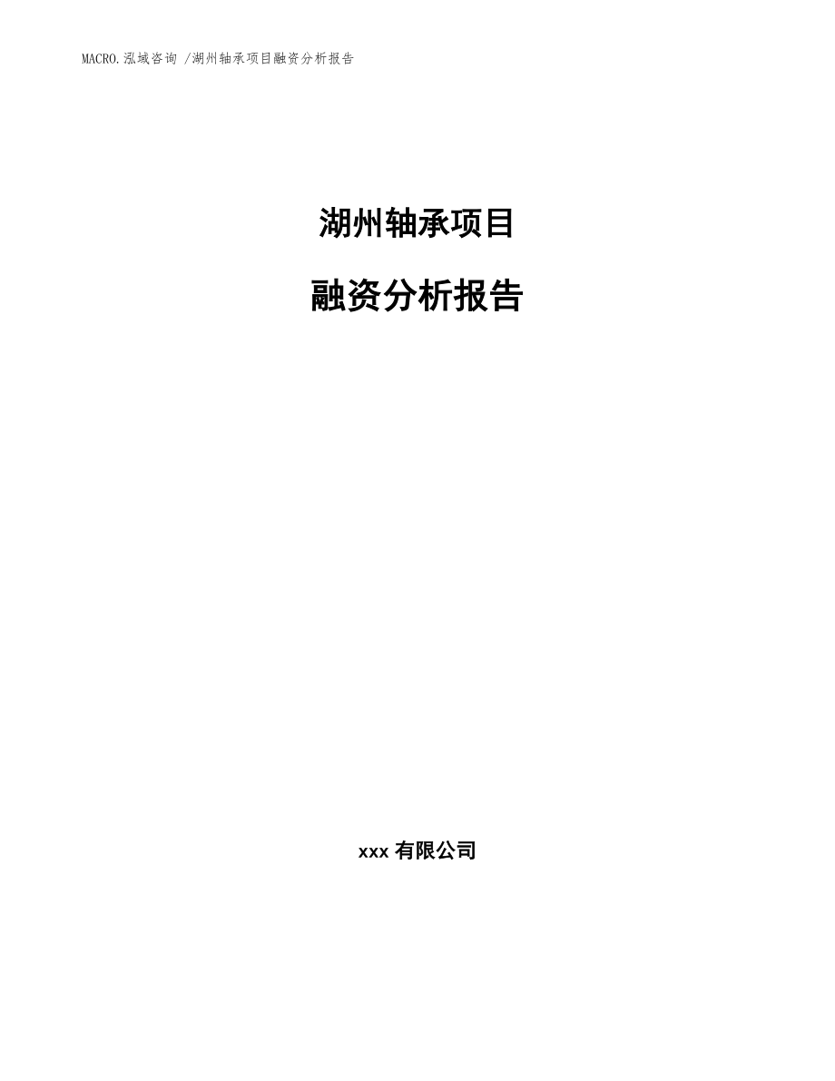 湖州轴承项目融资分析报告_范文_第1页