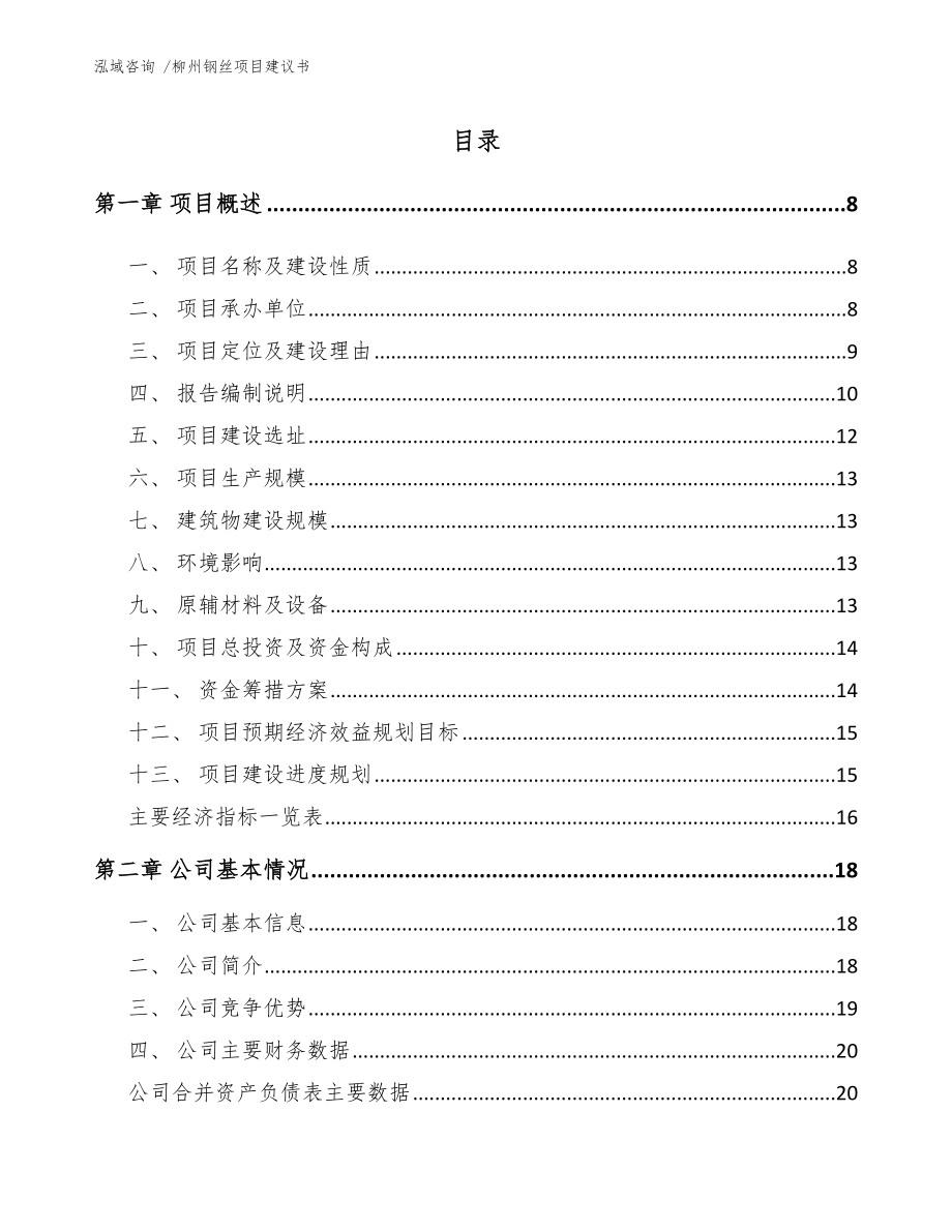 柳州钢丝项目建议书_模板_第2页