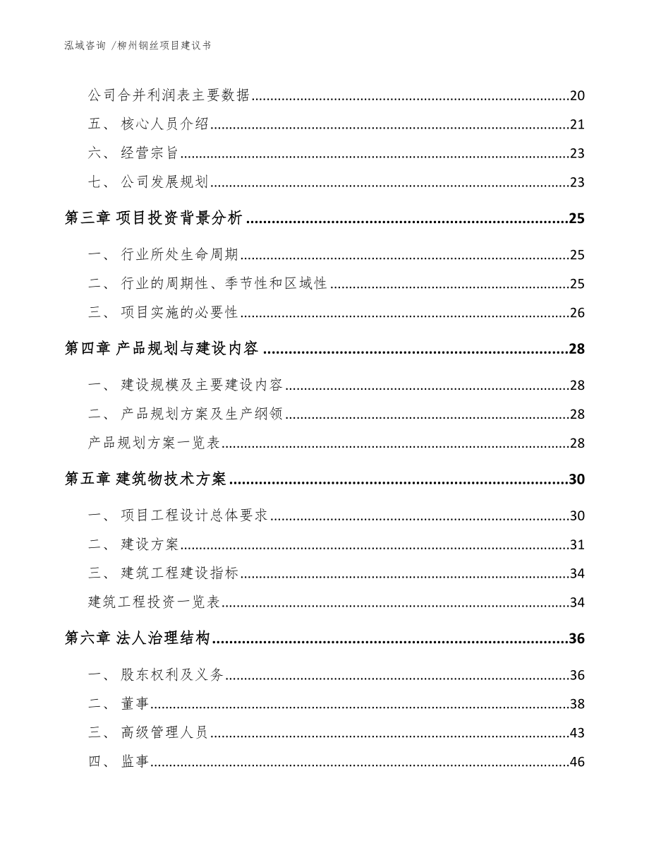 柳州钢丝项目建议书_模板_第3页