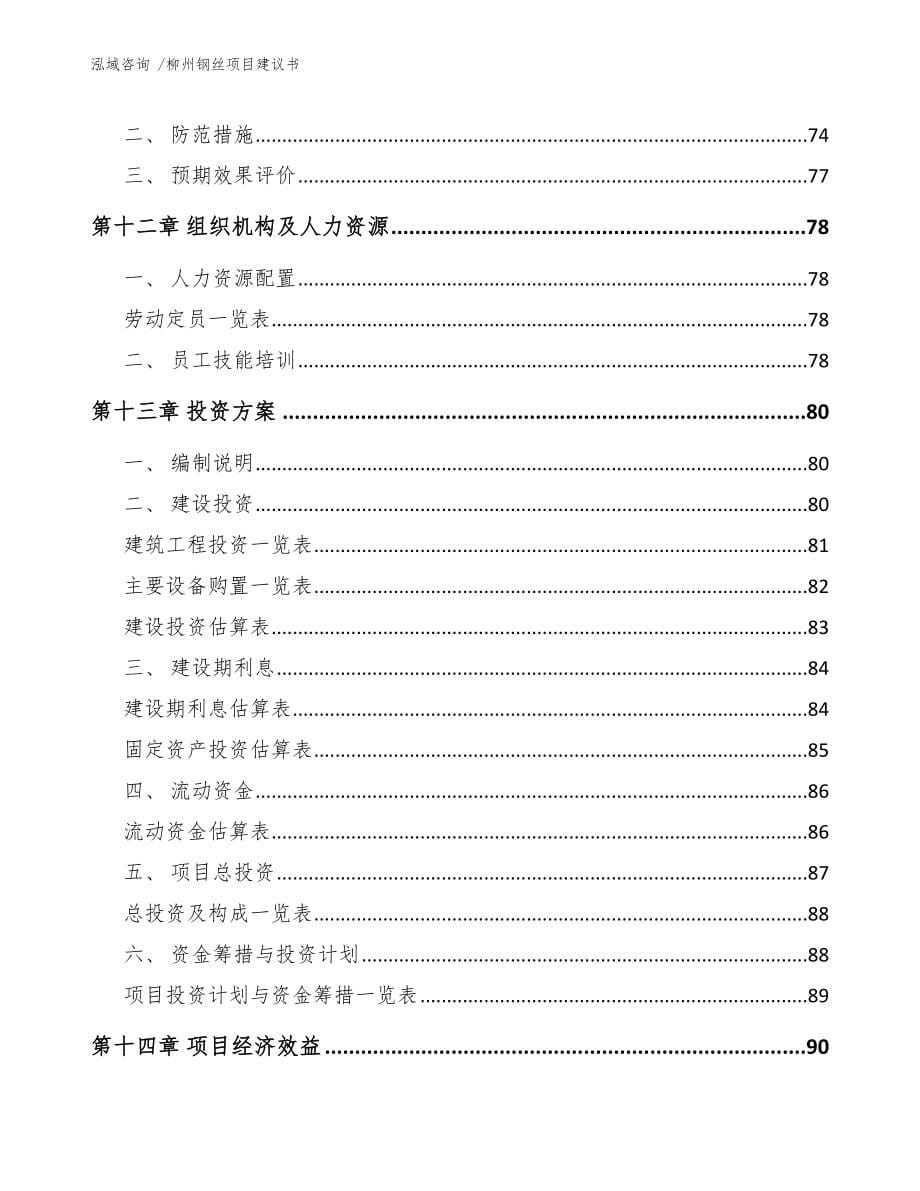 柳州钢丝项目建议书_模板_第5页