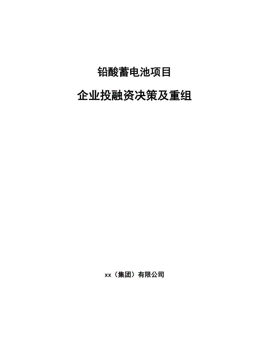 铅酸蓄电池项目企业投融资决策及重组（范文）_第1页