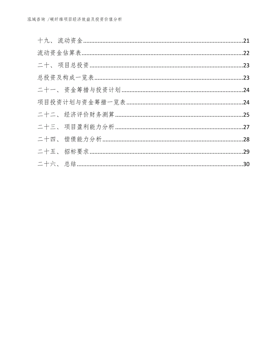 碳纤维项目经济效益及投资价值分析（范文模板）_第2页