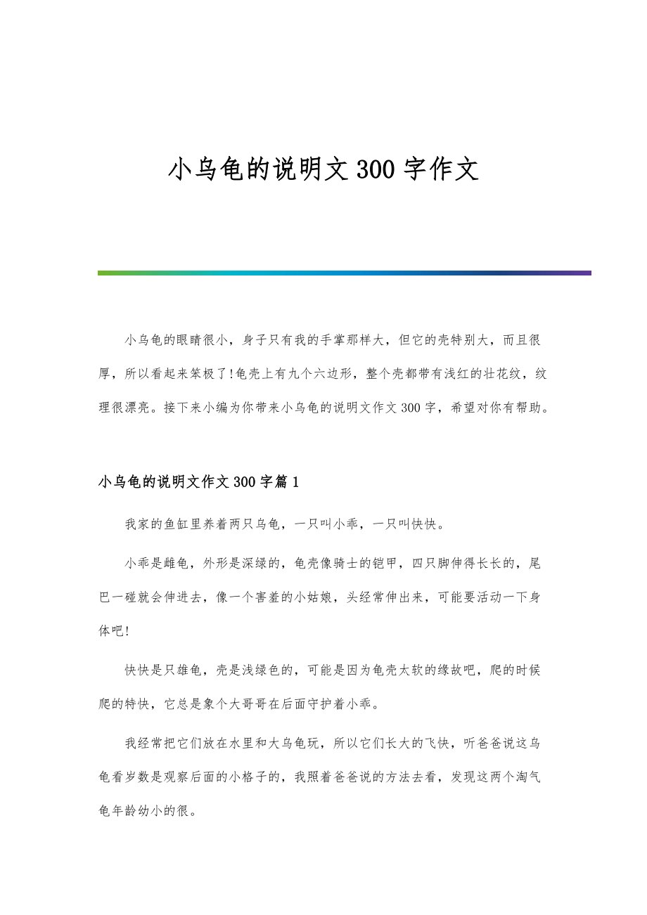 小乌龟的说明文300字作文_第1页