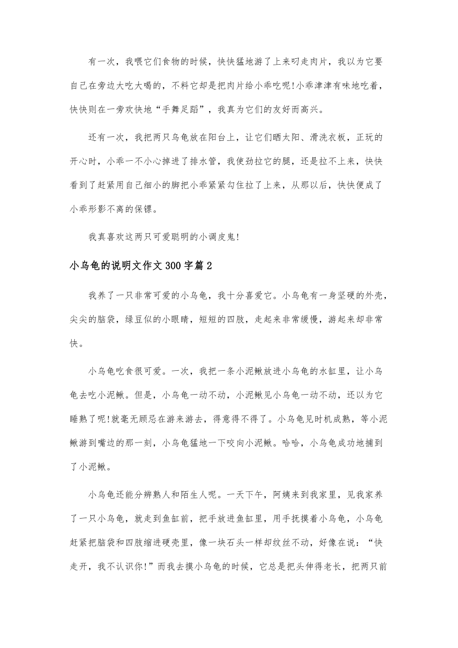 小乌龟的说明文300字作文_第2页