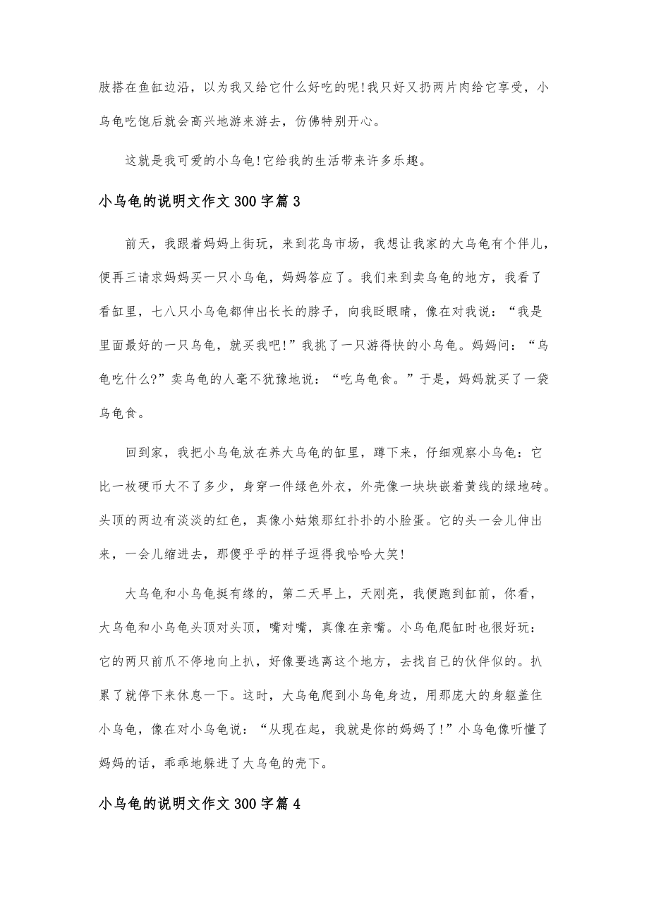 小乌龟的说明文300字作文_第3页