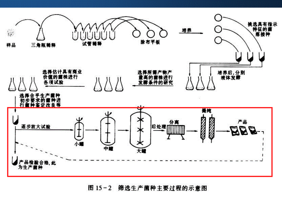 食品中的微生物教学文案_第3页