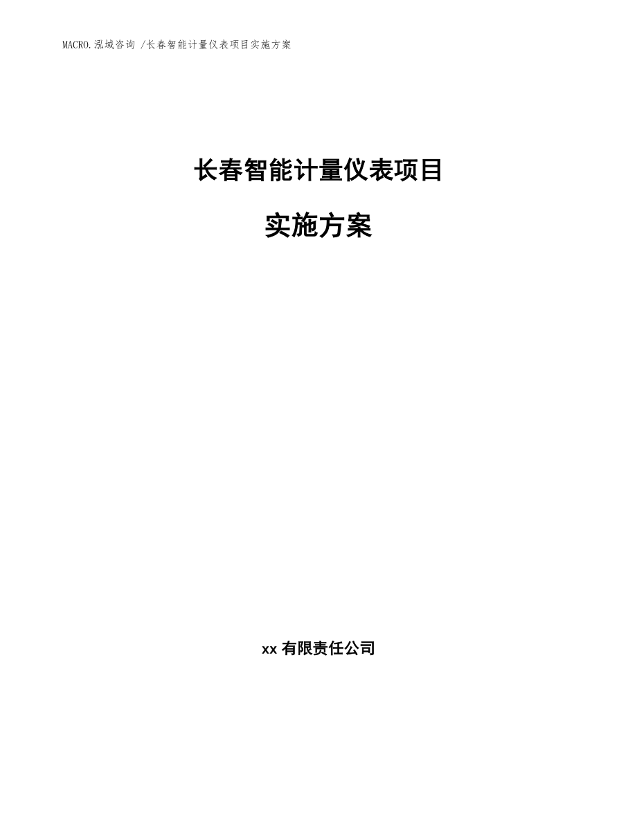 长春智能计量仪表项目实施方案（模板）_第1页