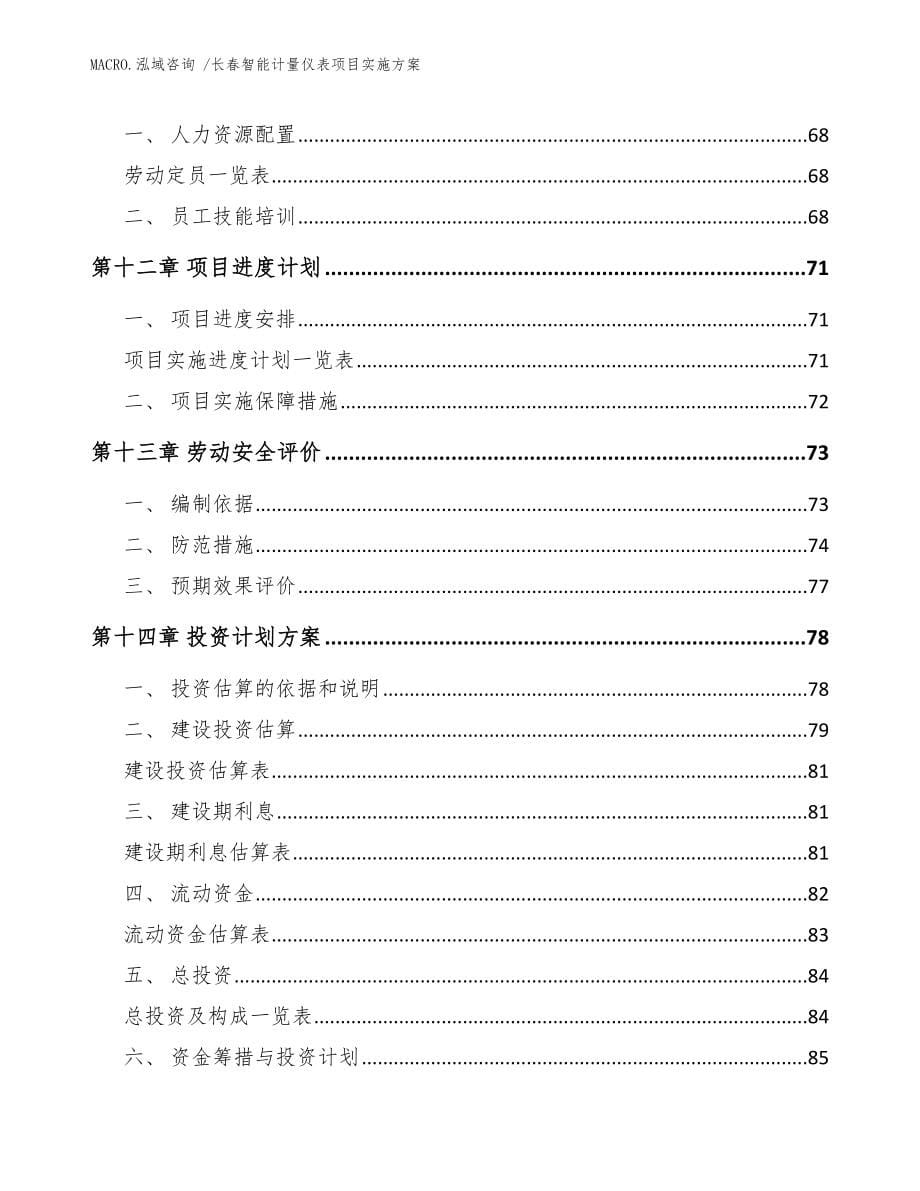 长春智能计量仪表项目实施方案（模板）_第5页