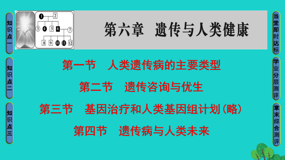 教师用书高中生物第6章遗传与人类降课件浙科版必修2_第1页