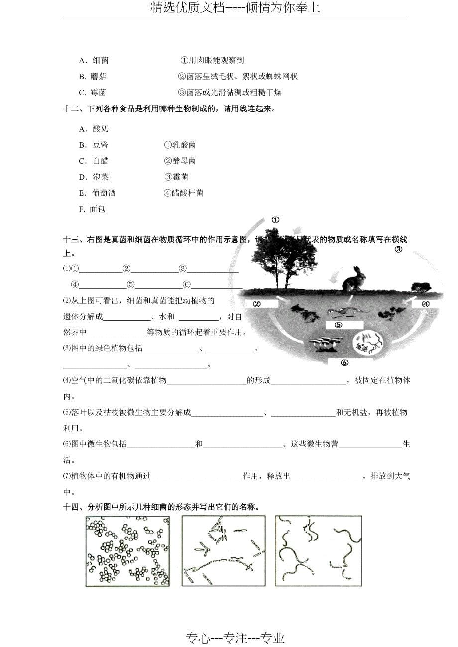 八年级生物上填图题（识图题）专题复习(共14页)_第5页