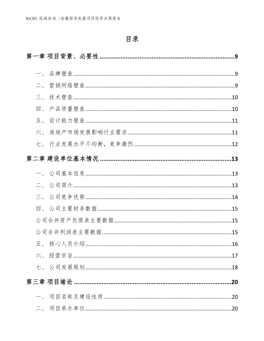 安徽厨房电器项目投资决策报告范文模板_第2页
