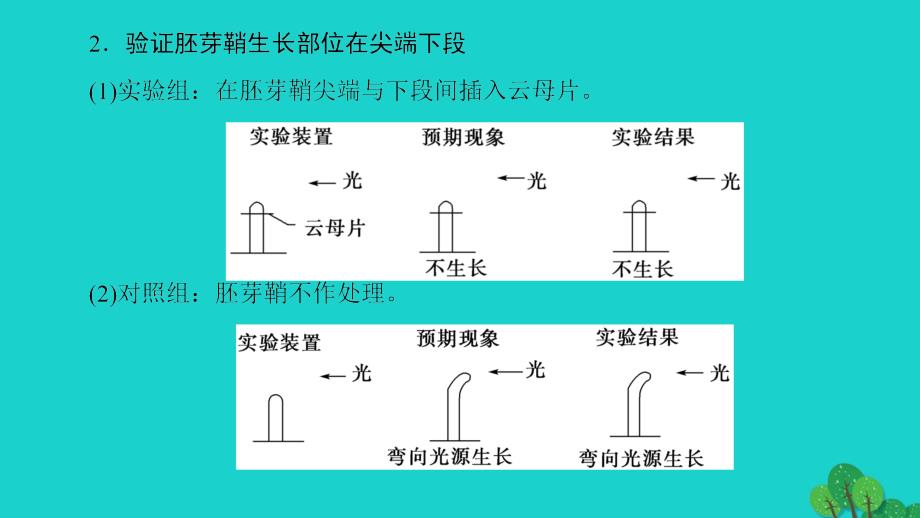 高中生物第3章植物的激素调节第3节与生长素有关的实验微专题突破课件新人教版必修3_第4页