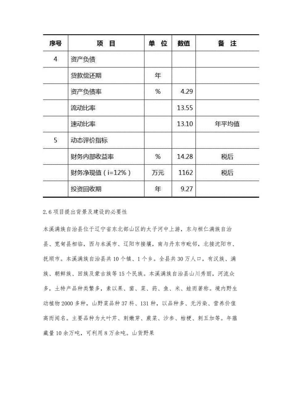 某某项目资金申请报告_第4页