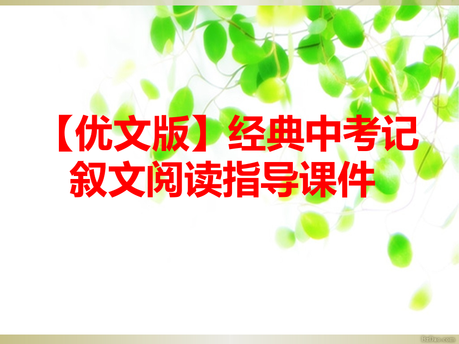 经典中考记叙文阅读指导课件_第1页